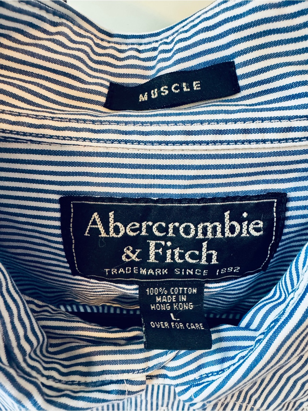 Abercrombie & Fitch Navy & White Striped Button-Down Shirt